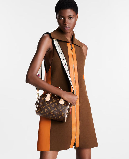 louis vuitton speedy 20_1