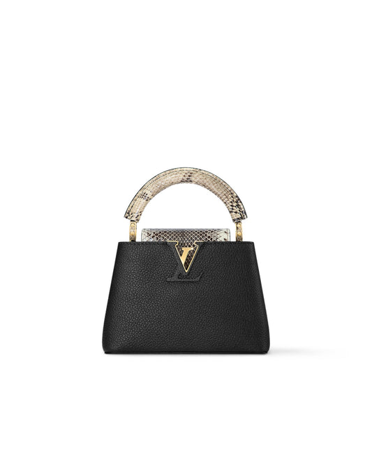 louis vuitton capucines mini handbag_1