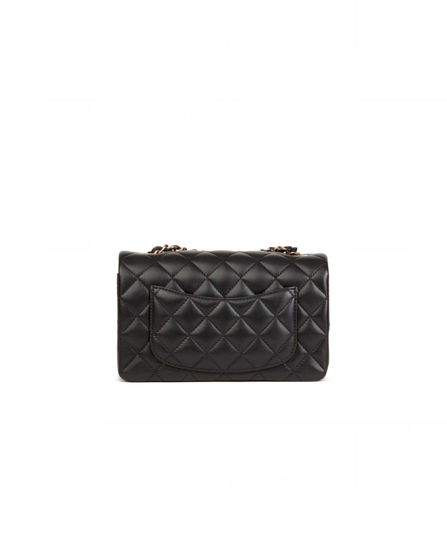 coco mini rectangular
lambskin_3