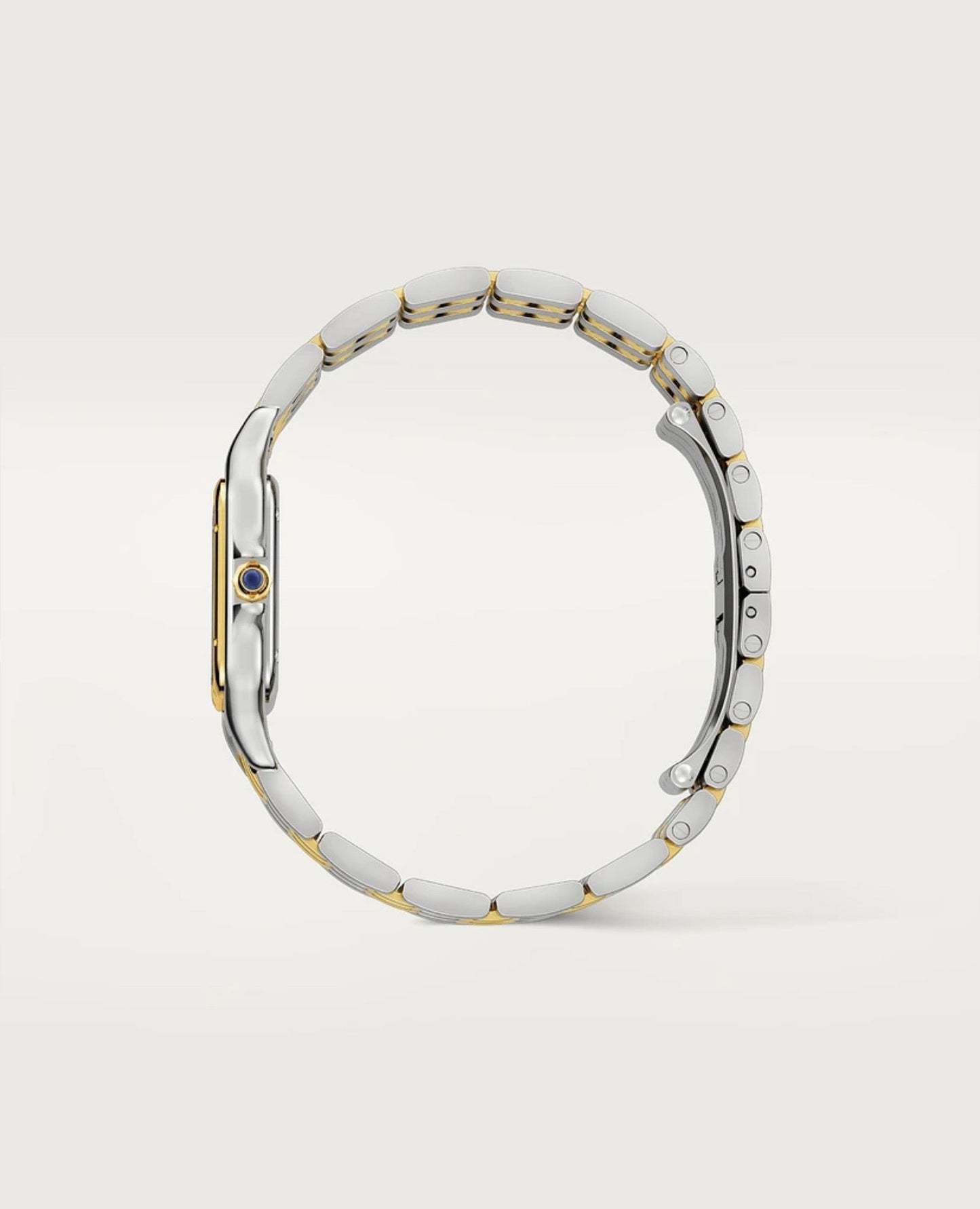 panthèrs de cartier watch,medium model_2