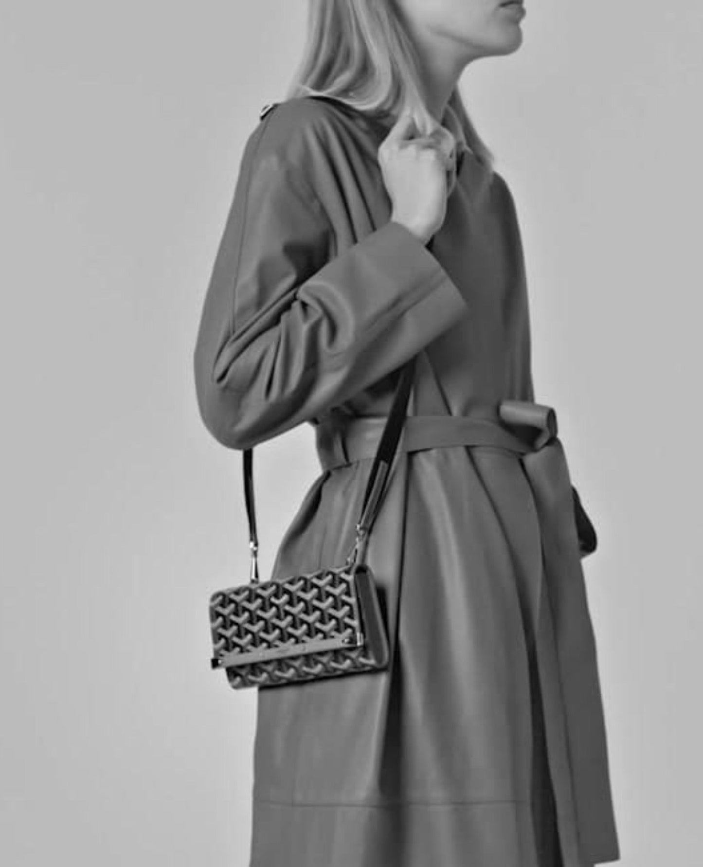 goyard monte-carlo mini case brown_2