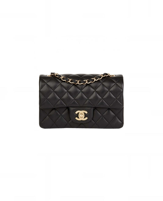 coco mini rectangular
lambskin_2