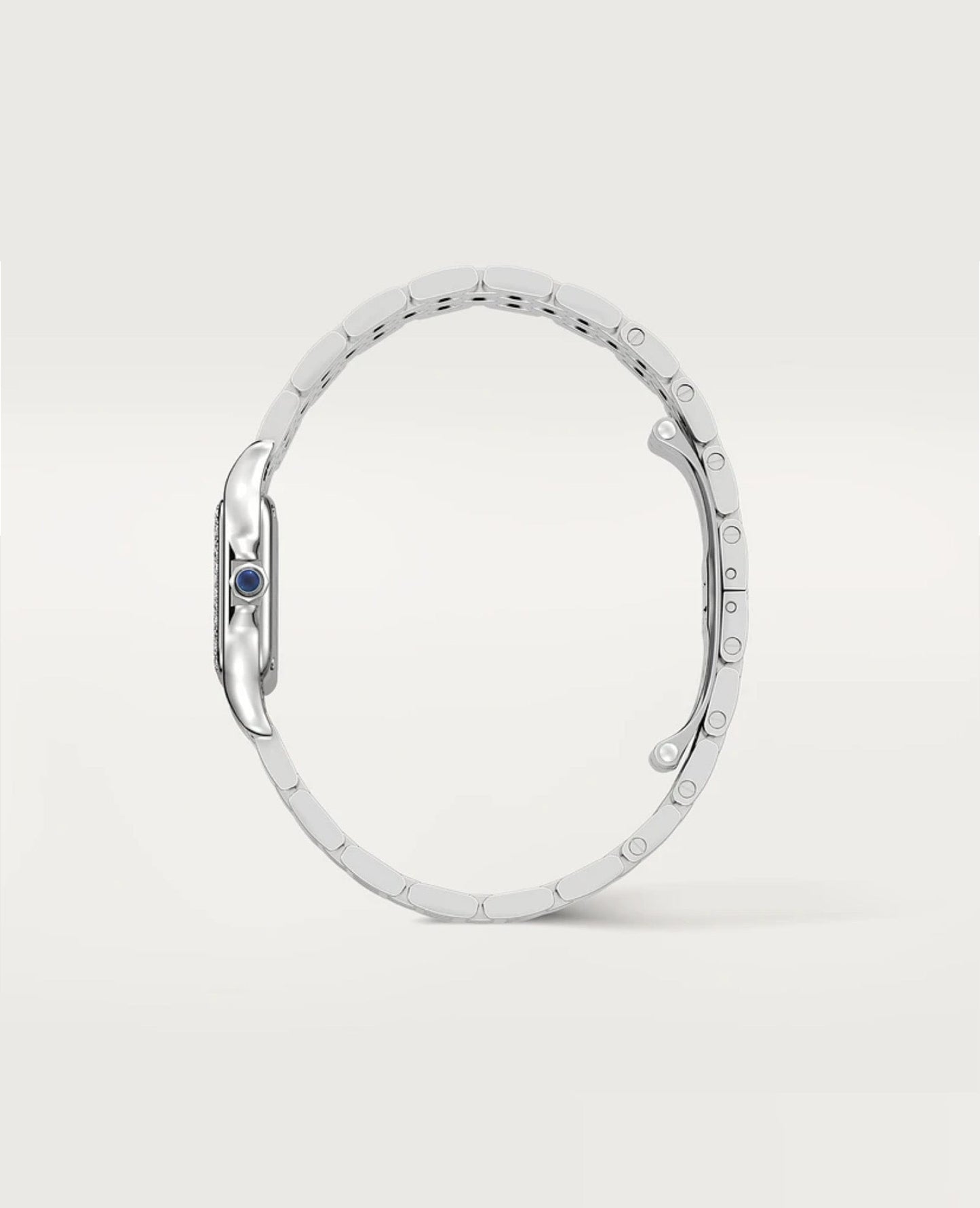 panthèrs de cartier watch,small model_1