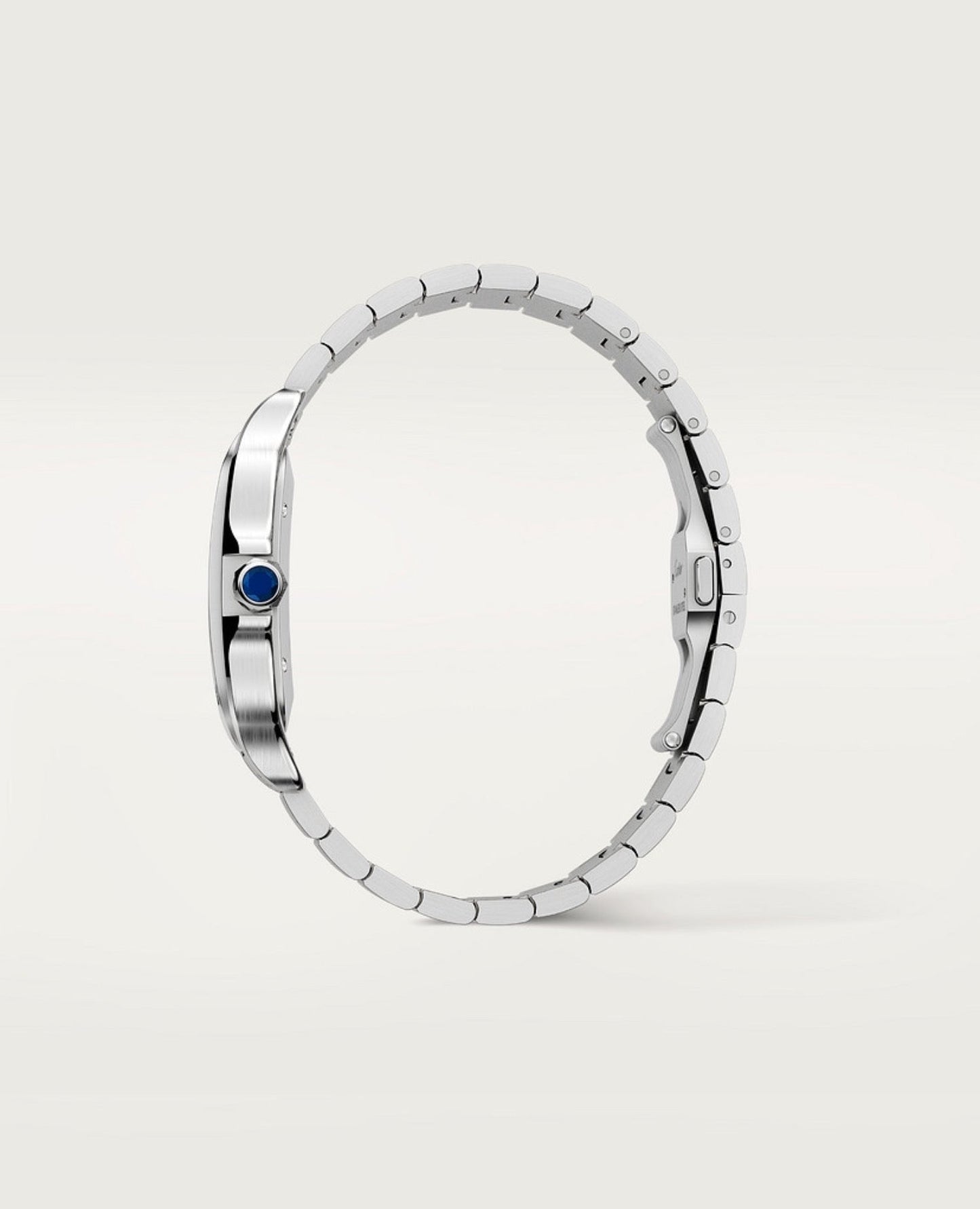 santos de cartier watch, large model_1