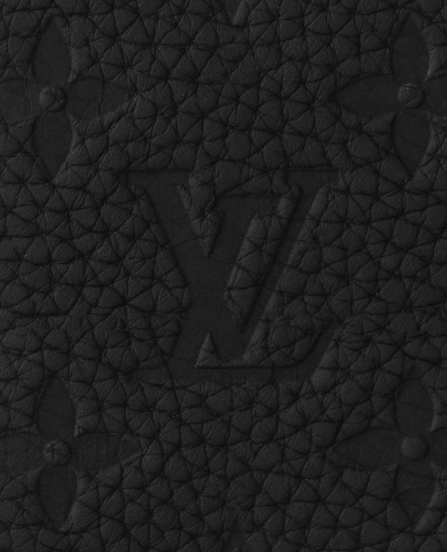 louis vuitton pocket organizer_1