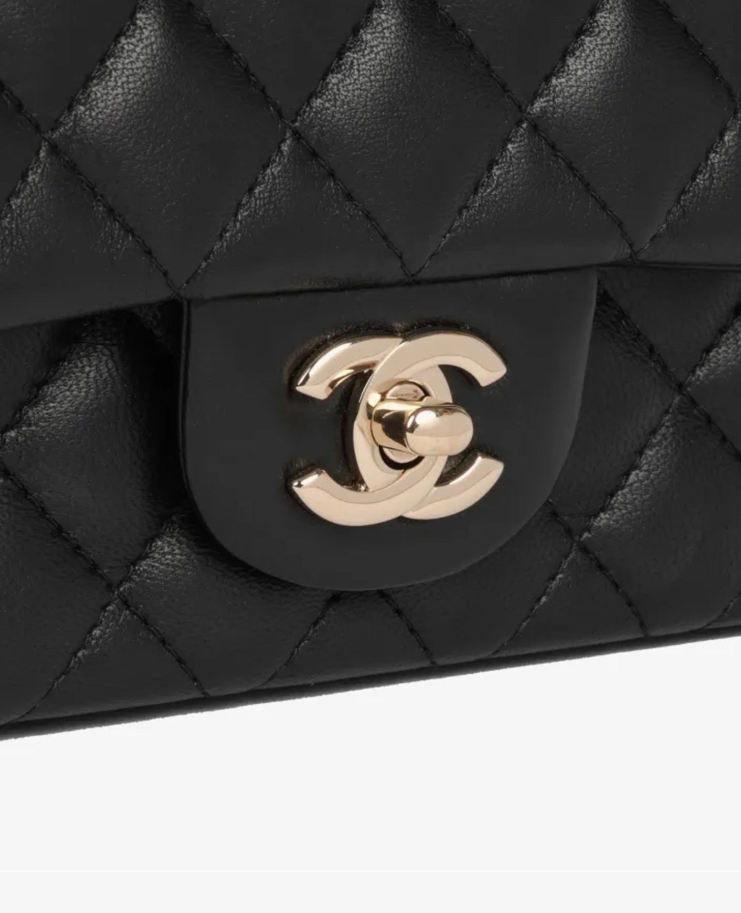 coco mini rectangular
lambskin_3