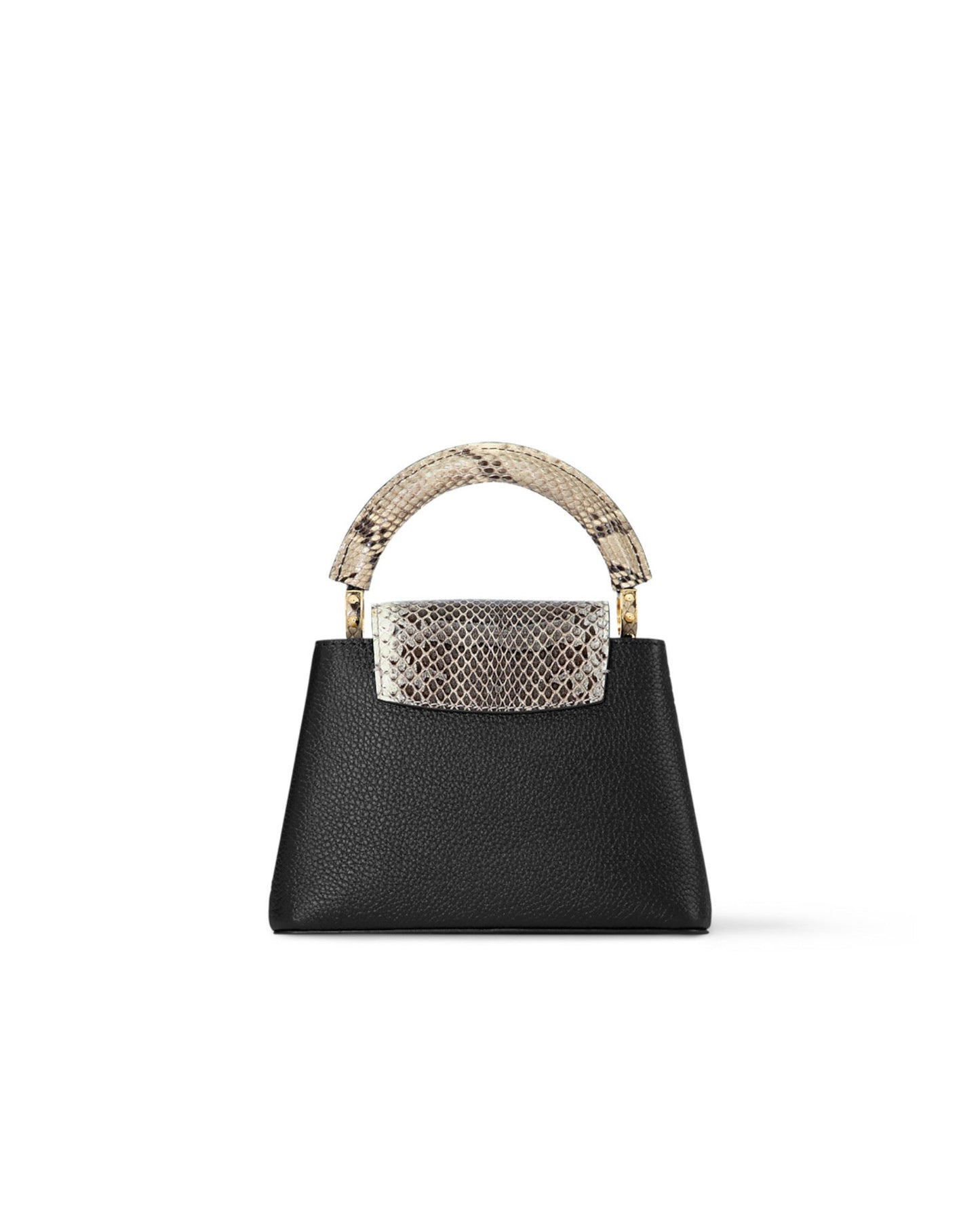 louis vuitton capucines mini handbag_1