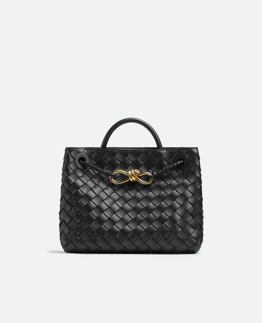 bottega veneta small andiamo black_3