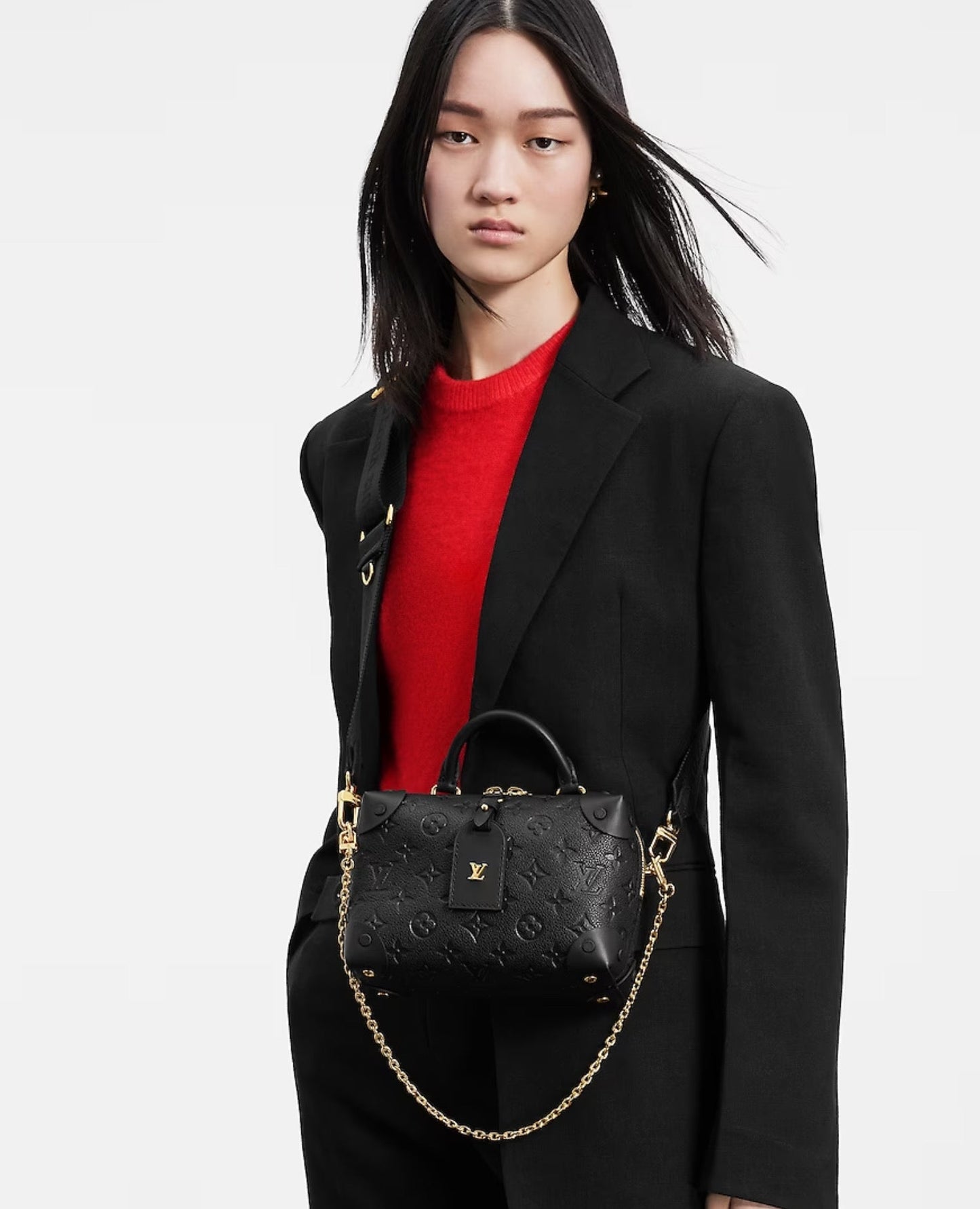 louis vuitton petite malle souple_4