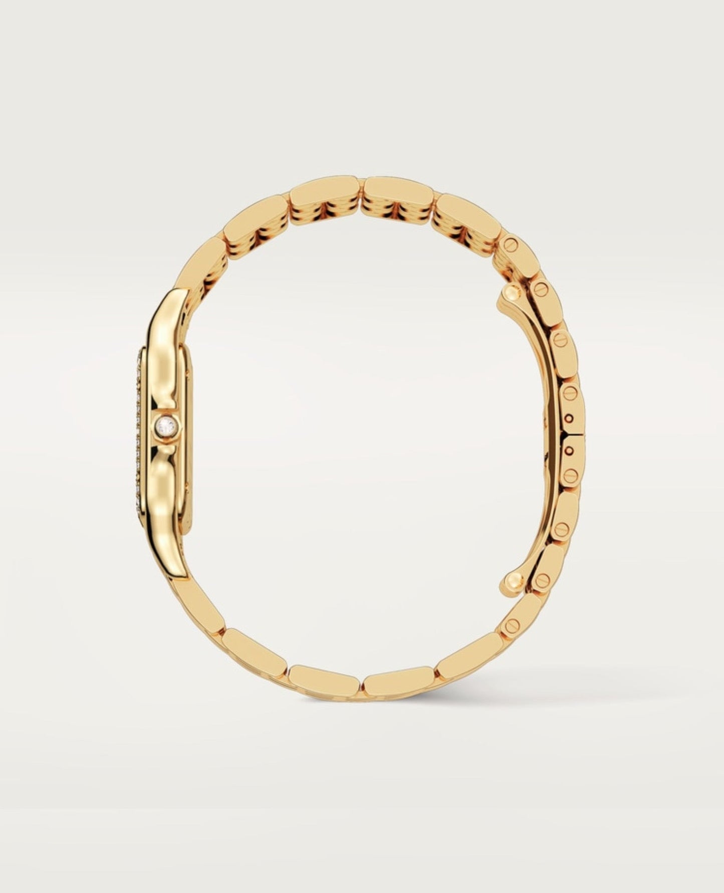 panthèrs de cartier watch_1