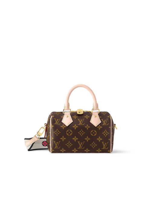 louis vuitton speedy 20_1