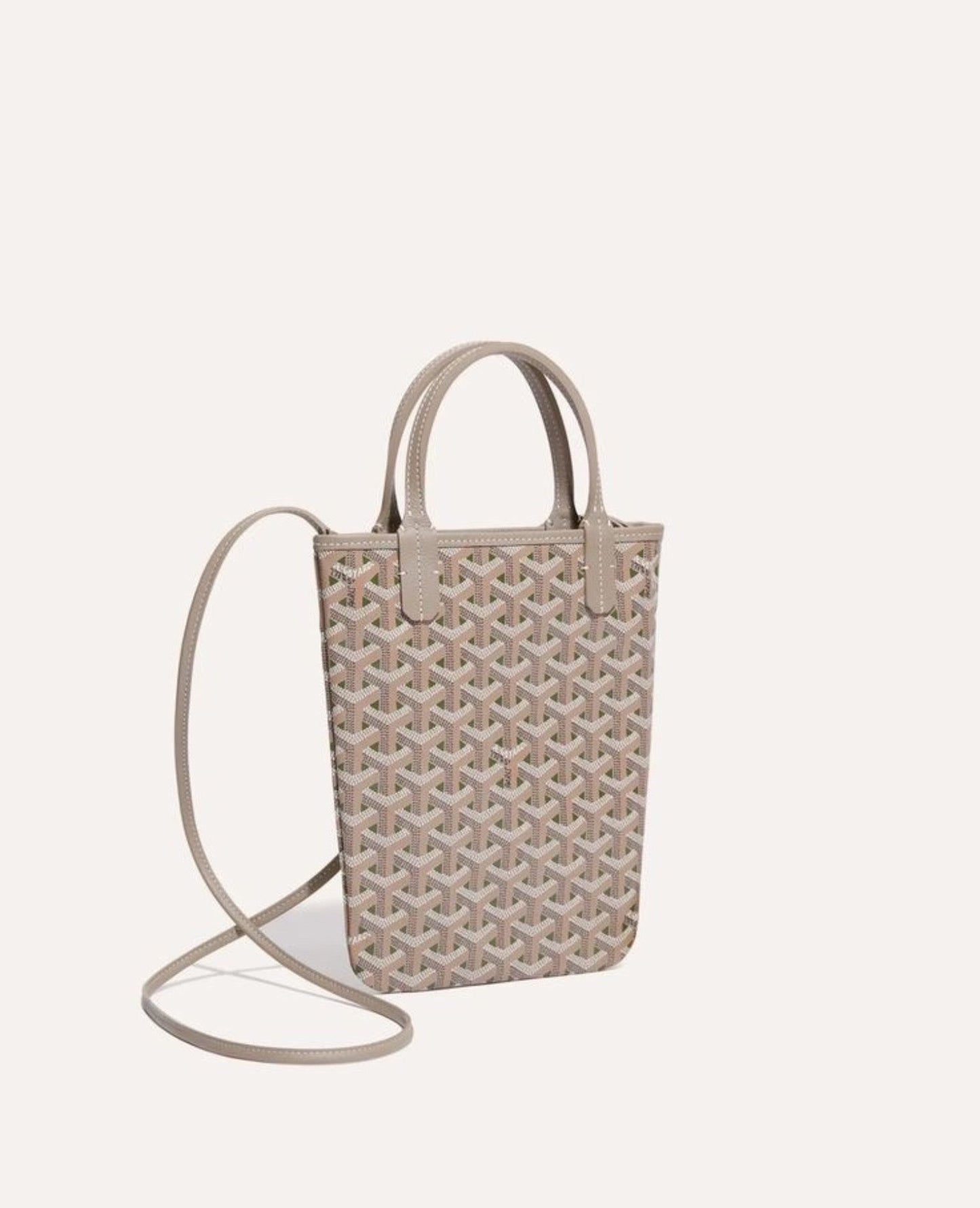 goyard poitiers claire-voie bag_1