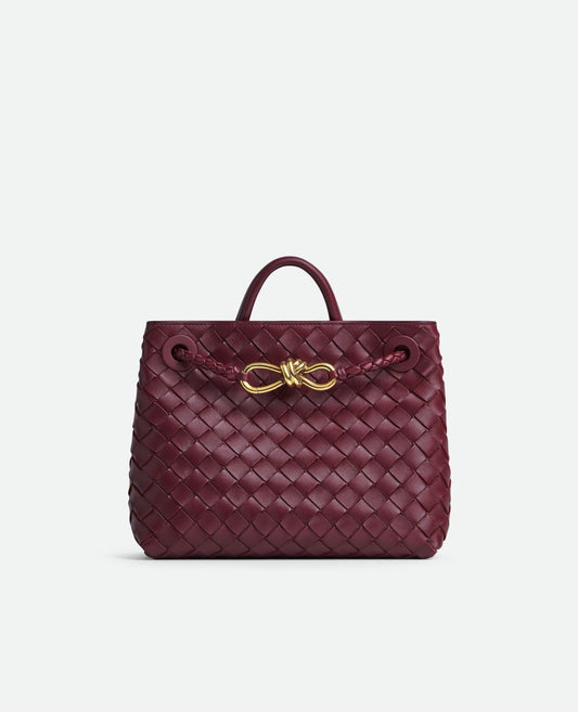 bottega veneta small andiamo_3