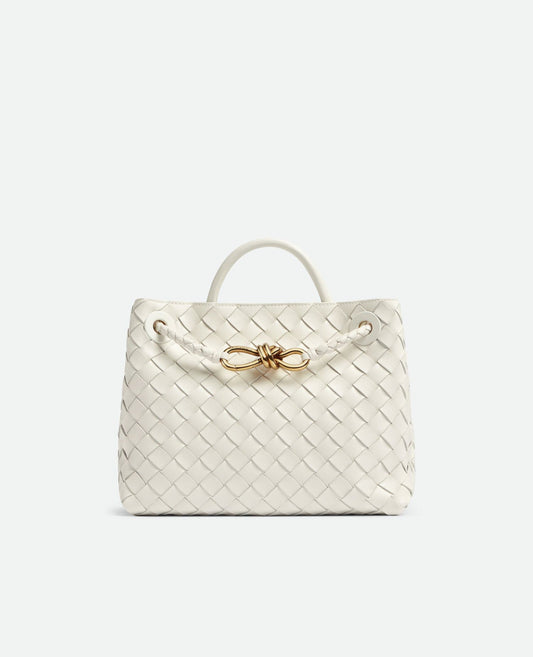 bottega veneta small andiamo_2